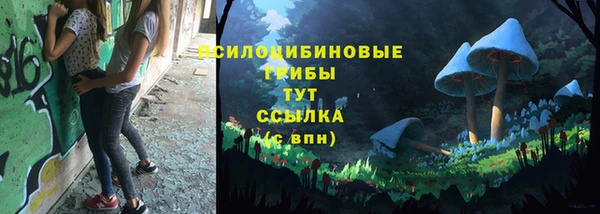 стаф Вязьма