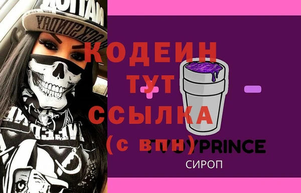 стаф Вязьма