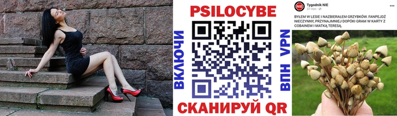где найти   Бирюсинск  Псилоцибиновые грибы GOLDEN TEACHER 